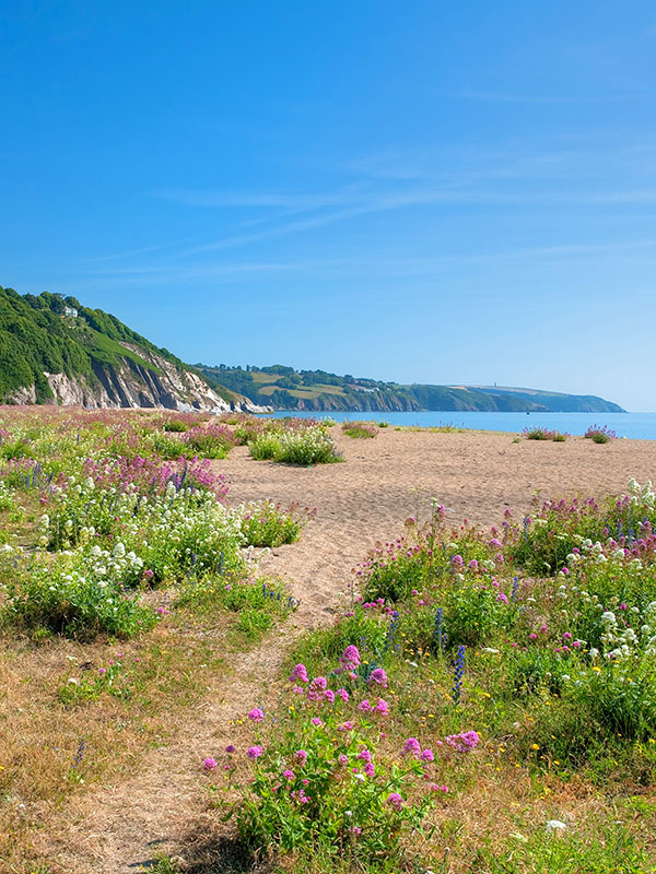 South Devon Holidays - Sea